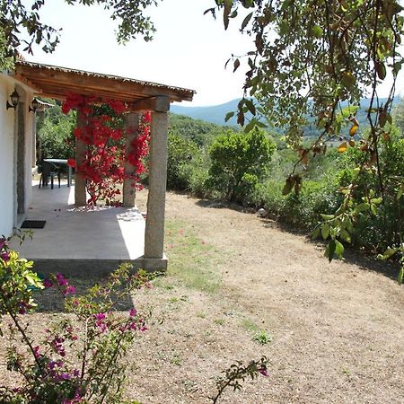La Puntaccina Villa Aglientu Exterior foto
